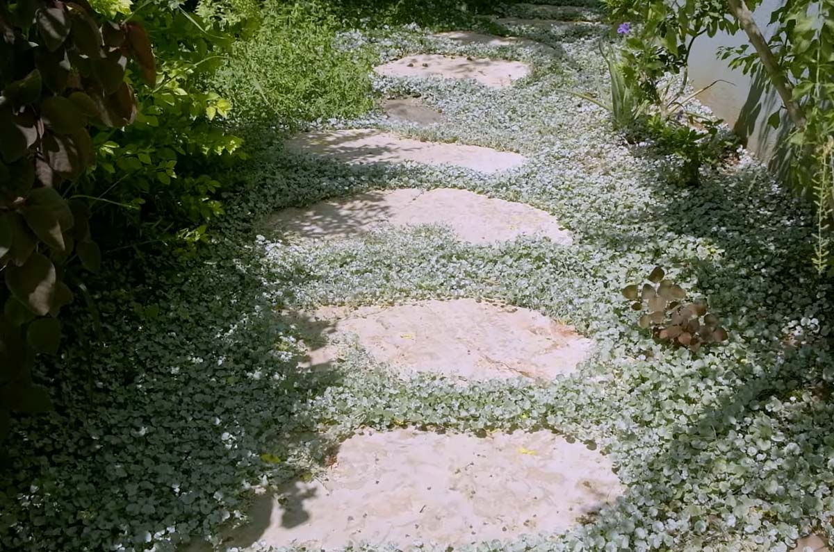 soluzione economica percorso giardino