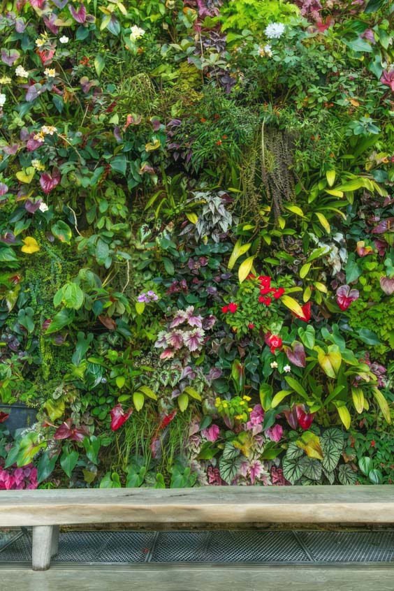 giardino verticale esempio