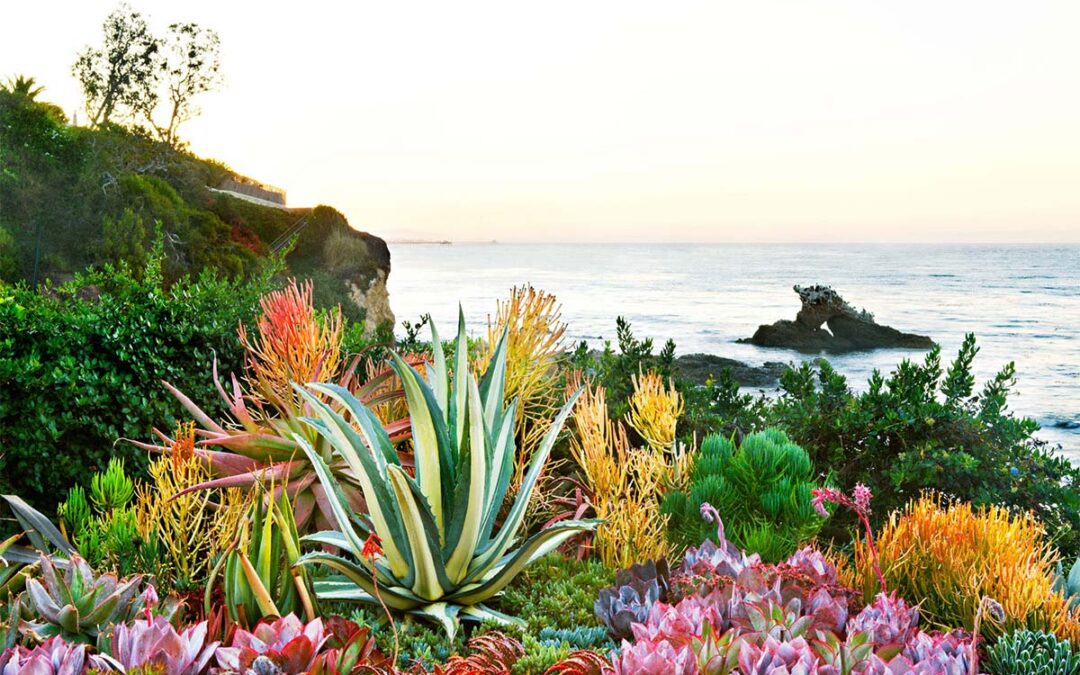 Trasformare il tuo Giardino al Mare in un’Oasi da Sogno
