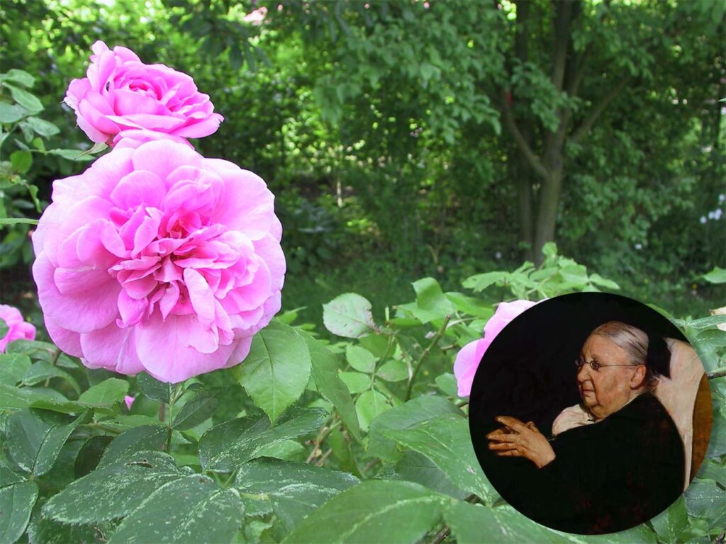 Gertrude Jekyll