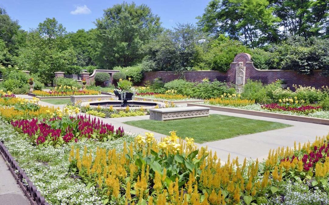 IL GIARDINO: Il Tuo Paradiso di Meraviglia